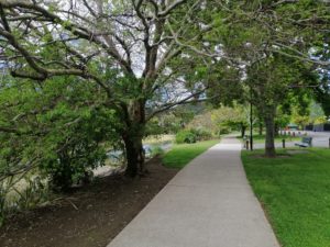 View of tree-covered pathway along Maitai river in Nelson