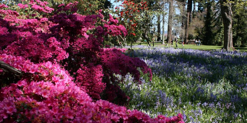 Isel Park gardens photo from website nelsontasman dot nz